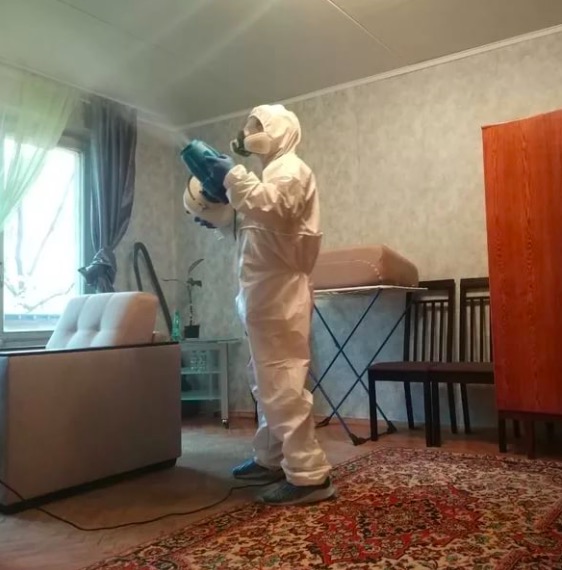 дезинсекция квартиры в Туапсе